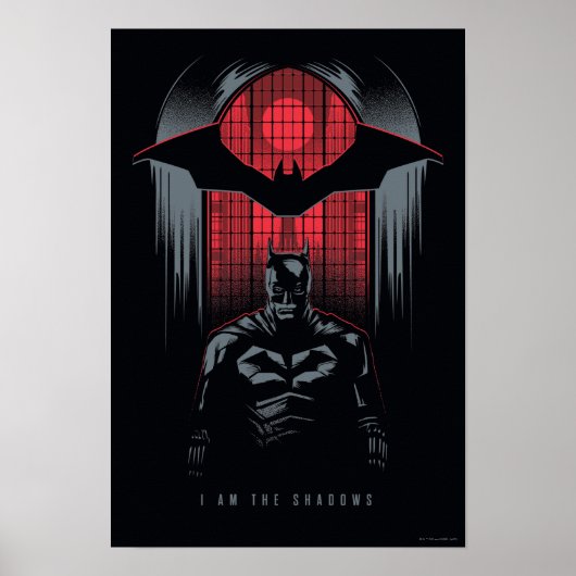Het deelvenster Batman-venster Poster (Voorkant)