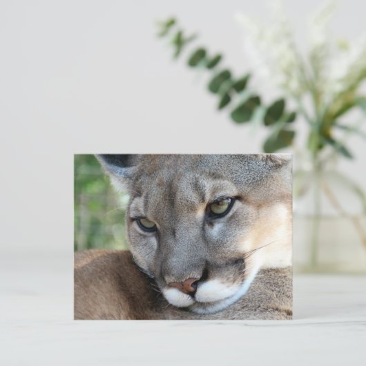 Het deelvenster Florida - Briefkaart leren (Staand voorkant)