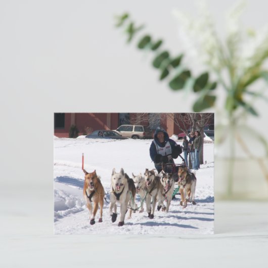 Het definitieve Briefkaart van de Rek (Staand voorkant)