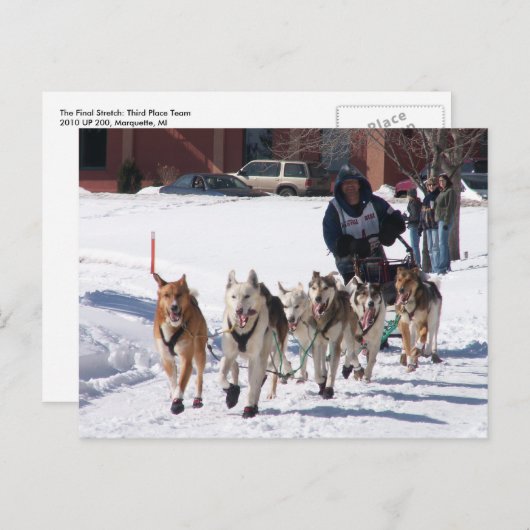 Het definitieve Briefkaart van de Rek (Voorkant / Achterkant)