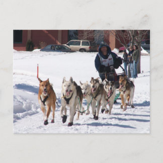 Het definitieve Briefkaart van de Rek