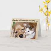 **HET DELEN VAN BIRTHDAYS** IS ALS EEN "GROOT GROO KAART (Gele Bloem)