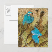Het delen van de Karing 2011 Briefkaart (Voorkant / Achterkant)