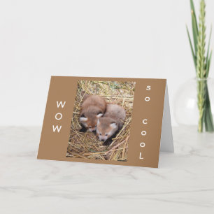 HET DELEN VAN EEN "BIRTHDAY" MET "JIJ" IS "ZO COOL KAART