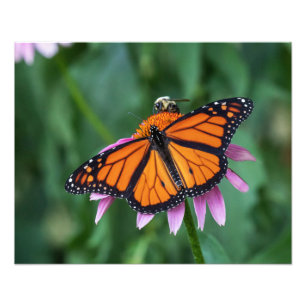 Het delen van een Wijzerplaat Foto Afdruk