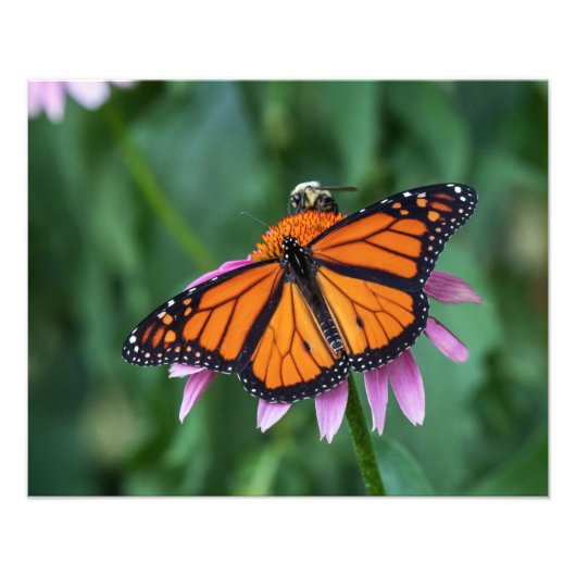 Het delen van een Wijzerplaat Foto Afdruk (Voorkant)