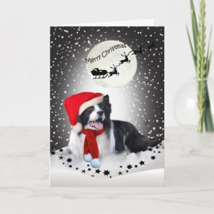 Het Delen van Kerstmis van border collie Feestdagen Kaart