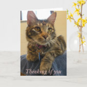 Het denken aan u 137 kaart (Gele Bloem)