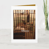 Het denken aan u altijd kaart (Voorkant)