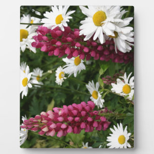 Het denken aan u BloemenBloesems Fotoplaat