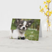 Het denken aan u Chihuahua Kaart (Gele Bloem)