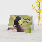 Het denken aan u de Kaart van de Eend (Gele Bloem)