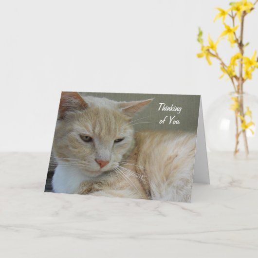 Het DENKEN AAN U de Leuke Foto van de Douane van Kaart (Gele Bloem)