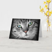 Het denken aan u de Leuke Grijze Kaart van de Kat (Gele Bloem)