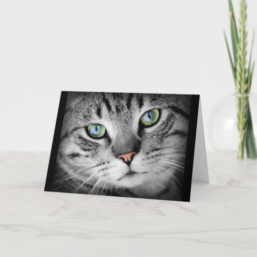 Het denken aan u de Leuke Grijze Kaart van de Kat (Voorkant)