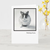 Het denken aan u, de Leuke Groet van de Foto van Kaart (Gele Bloem)