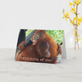 Het denken aan u de Misser van I u Kaart (Gele Bloem)