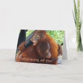 Het denken aan u de Misser van I u Kaart (Voorkant)