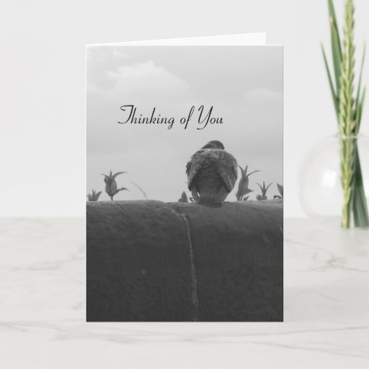 Het denken aan u Duif Kaart (Voorkant)