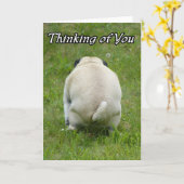 Het denken aan u Grappige Ruwe Pug Kaart (Gele Bloem)