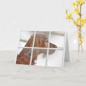 het denken aan u-Ierse Zetter in sneeuw Kaart (Gele Bloem)