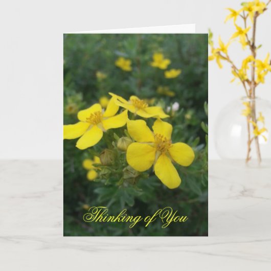 Het denken aan u Kaart (Gele Bloem)