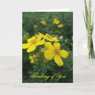 Het denken aan u Kaart