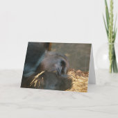 Het denken aan u kaart (Voorkant)