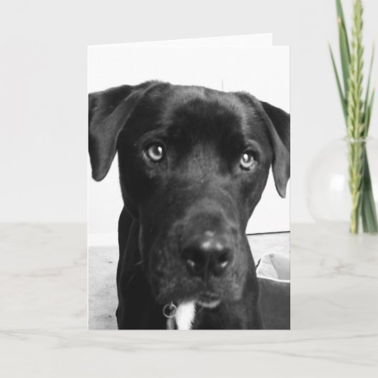 Het denken aan u kaart (Voorkant)