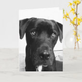 Het denken aan u kaart (Gele Bloem)