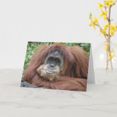 Het denken aan u kaart (Gele Bloem)