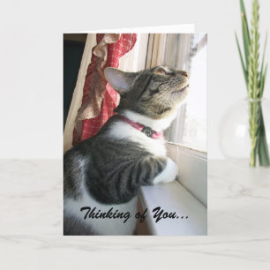 Het denken aan u… kaart