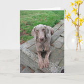 Het denken aan u kaart (Gele Bloem)