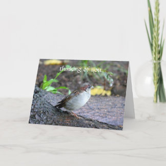 het denken aan u… kaart