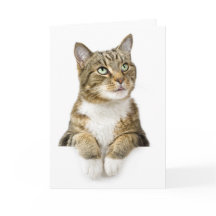 Het denken aan u Kaart