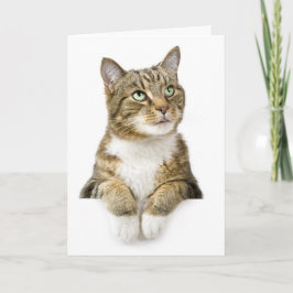 Het denken aan u Kaart