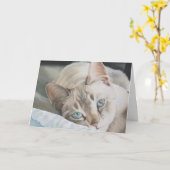 "Het denken aan u" Kaart (Gele Bloem)