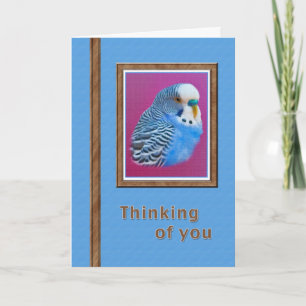 Het denken aan u Kaart met Blauwe Parkiet