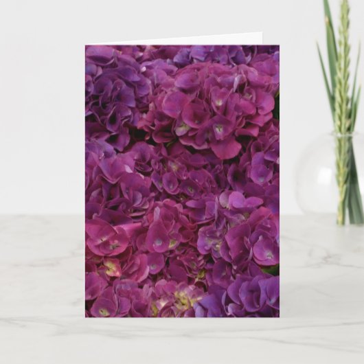 Het denken aan u kaart met roze hydrangea (Voorkant)