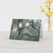 Het denken aan u Kaart Verwarde Eiken Bomen (Gele Bloem)