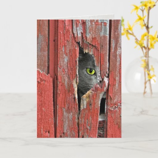 Het denken aan u Kat Kaart (Gele Bloem)