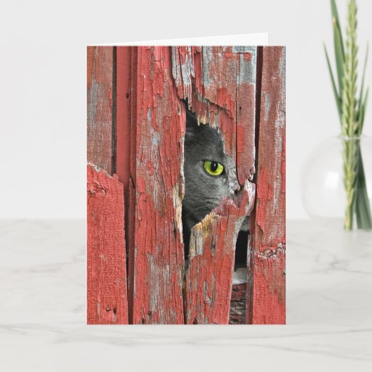 Het denken aan u Kat Kaart (Voorkant)