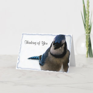 Het denken aan u - Reeks van de Vlaamse gaai van Kaart
