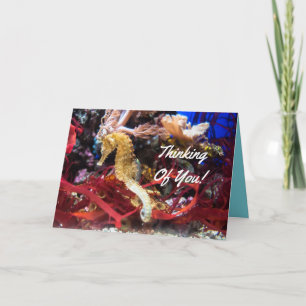 Het denken aan u Seahorse Kaart