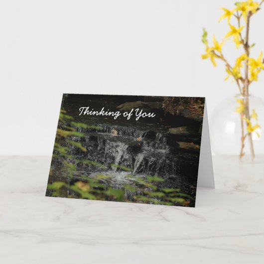 Het denken aan u Waterval Kaart (Gele Bloem)