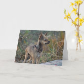 Het denken aan u Wenskaart Kaart (Gele Bloem)