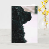 Het denken aan u ~ Zwart Newfoundland Kaart (Gele Bloem)