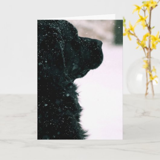 Het denken aan u ~ Zwart Newfoundland Kaart (Gele Bloem)