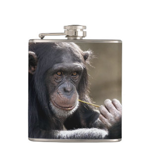 Het denken over het Monkeying rond Heupfles