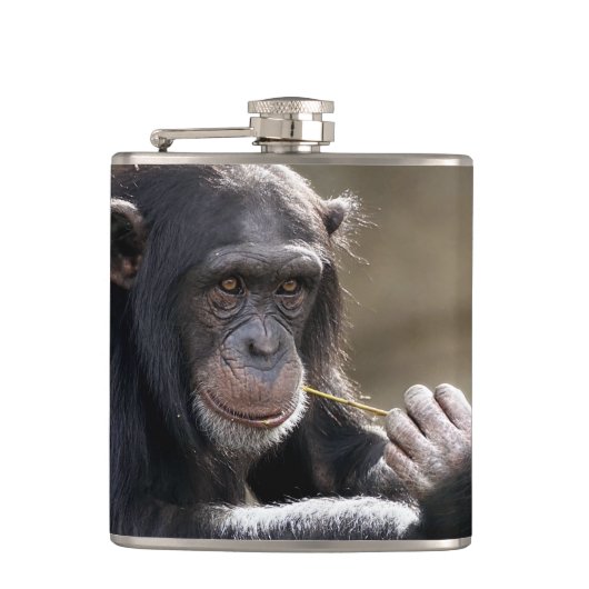 Het denken over het Monkeying rond Heupfles (Voorkant)